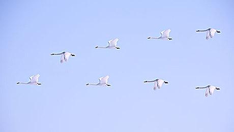 《七大罪：起源》G-Star展会公布新截图和全新细节